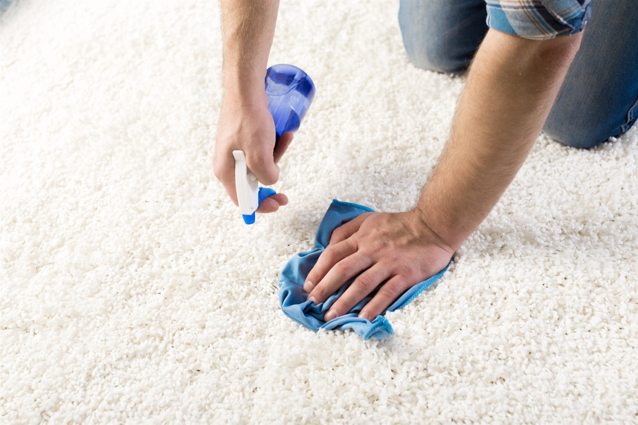 Phoenix Carpet Cleaners - Same Day Sevice. Commerical and Residential Carpet Cleaners, Tile Cleaners